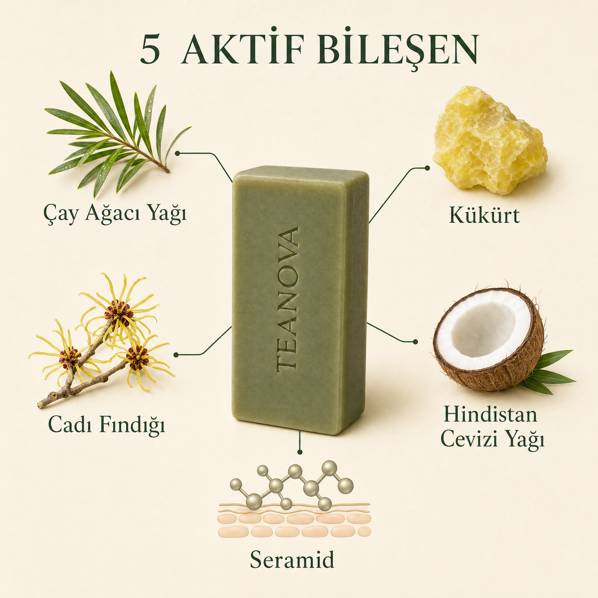 5 aktif bilesen